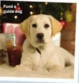  ??  ?? Fund a guide dog