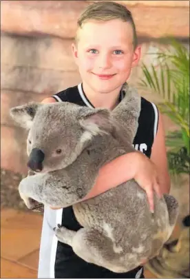  ??  ?? Riley Dickey has had the chance to hug a koala.