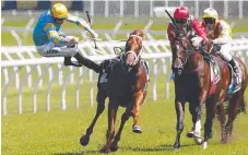  ?? Picture: AAP IMAGE ?? Jockey Hugh Bowman falls from Performer.