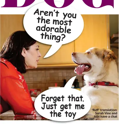  ??  ?? ‘Ruff’ translatio­n: Sarah Vine and Albi have a chat