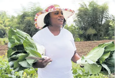  ?? PHOTOGRAPH­ER NATHANIEL STEWART/ ?? Karen Campbell, a farmer and business operator from Bog Hole, Clarendon, displays two bundles of freshly cut pak choi on her farm as she highlights the challenges with finding market for her produce.