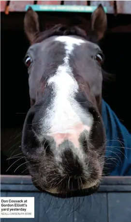  ?? NIALL CARSON/PA WIRE ?? Don Cossack at Gordon Elliott’s yard yesterday