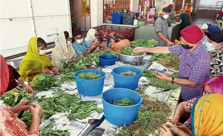  ??  ?? Community kitchen: Volunteers preparing vegetarian meals for Vaisakhi at Gurdwara Sahib in Seremban.