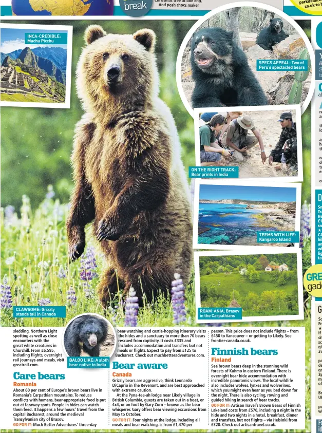  ??  ?? INCA-CREDIBLE: Machu Picchu CLAWSOME: Grizzly stands tall in Canada BALOO LIKE: A sloth bear native to India ON THE RIGHT TRACK: Bear prints in India ROAM-ANIA: Brasov in the Carpathian­s SPECS APPEAL: Two of Peru’s spectacled bears TEEMS WITH LIFE:...