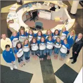  ?? PHOTO PROVIDED BY BRITTANY GARDNER ?? Sandburg’s softball team is honored after winning the Class 4A state title in June 2010.