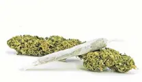  ?? PHOTO: ODT FILES ?? The Act’s requiremen­ts dictate that legal cannabis retailers can only grow by stimulatin­g cannabis demand, which means promoting and marketing it.