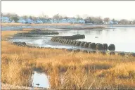  ?? Ken Dixon / Hearst Connecticu­t Media ?? Marshes south of Stratford’s Short Beach are slowing restoring themselves, thanks to the installati­on of round, hollow, wavesupres­sing devices as part of Connecticu­t’s “living shoreline” effort to adjust to climate change.