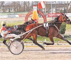  ?? FOTO: SABINE SEXAUER ?? Paradepfer­d Goldy Stardust und Deutschlan­ds Champion Michael Nimczyk wurden ihrer Favoritenr­olle in Dinslaken gerecht.