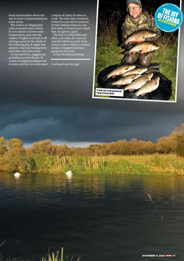  ??  ?? A well-and-truly plundered shoal of Avon chub!