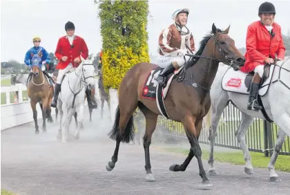  ?? Photo / Trish Dunell ?? Sam Collett and Levante return to scale after winning the Counties Bowl on Saturday.
