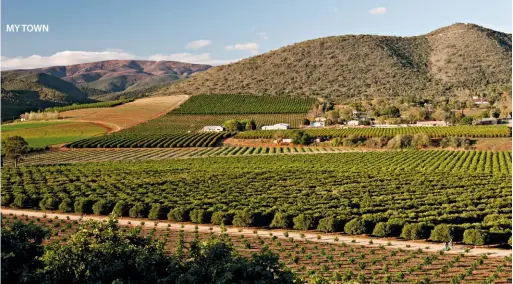  ??  ?? ABOVE The cultivated fields and orchards create a beautiful patchwork picture. OPPOSITE BOTTOM The hills you see when you enter Patensie via the R331 from the direction of Port Elizabeth.