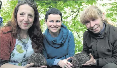  ??  ?? Organisers Sarah of The Secret Garden, Newmarket, Mairead of New Leaf Health Store, Kanturk, and Rosie of Animal Magic Rescue, Kilmallock, just about to release two rehabilita­ted Hedgehogs Clio and Harry during the Love Your Land Event at the Secret...