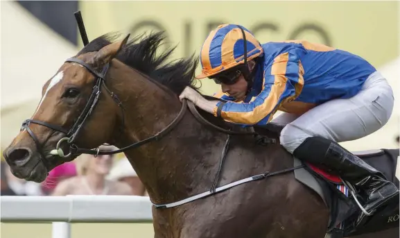  ??  ?? CHAMPION JOCKEY: Jockey Ryan Moore, pictured steering Gleneagles to victory in the Grade 1 St James Palace Stakes at Royal Ascot last week, once again enhanced his reputation as the best jockey in the world.