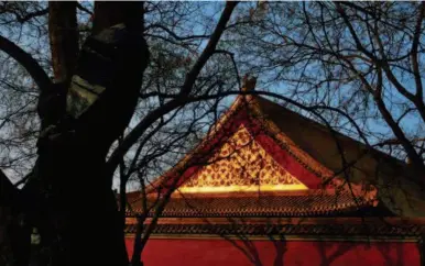  ?? by Li Wenru ?? Hidden by tree branches, the gable of the palace shines with golden light in the sun.