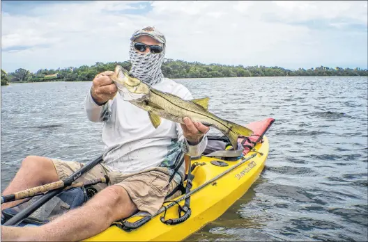  ?? PAUL SMITH PHOTOS ?? Barry Grady with a fine snook. This one is below the slot and must be released.