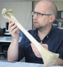  ?? PHOTO: GERARD O’BRIEN ?? Gateway to the past . . . Dr Nic Rawlence examines a juvenile moa tibia at the University of Otago zoology department.
