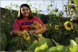  ?? ANJALI SHARIF-PAUL — STAFF PHOTOGRAPH­ER ?? Bernadette Casiano in her “homestead” in Hacienda Heights with one of her favorite chickens, Sunny, on Jan. 26. She began raising chickens in 2014and began selling eggs four years ago, long before the shortage. She has 20hens.