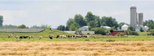  ??  ?? La politique actuelle ne fournit pas d’incitatifs au développem­ent des biocarbura­nts de deuxième génération à partir de résidus agricoles, comme de la paille de blé.