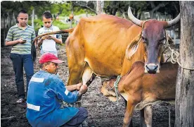  ?? JOSEFINA VILLARREAL ?? Víctor y Fredy Caballero acompañan a su papá, mientras juegan en sus celulares.