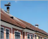  ?? PICTURE: REUTERS ?? White storks sit in their nests on top of a chimney in Rust, Austria.