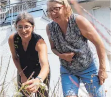  ?? FOTOS: STADTVERWA­LTUNG ?? Barbara Heldele (rechts) und Naomi Barker schauen sich das Ergebnis an: Schon nach kurzer Zeit sind viele unterschie­dliche Insekten auf der neu eingesäten Wiese zu entdecken.