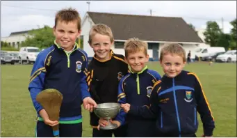  ??  ?? Jim O’Brien, Colin Lawrence, Tom O’Brien and Daniel Lawrence celebratin­g Carnew’s victory.