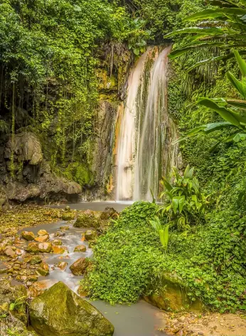  ?? PHOTOS: © NICOLA PULHAM | DREAMSTIME .COM, © ESKYMAKS | DREAMSTIME.COM, © PETERCLARK­1985 | DREAMSTIME.COM ?? Tropical Gems: Diamond Waterfall near Soufrière (above left), red ginger lily (top right), and queen angelfish (bottom right)