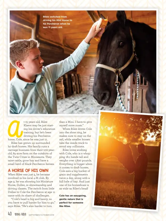  ??  ?? Rilee switched from driving his Mini Horse to his Percheron when he was 11 years old. Cole has an easygoing, gentle nature that is perfect for someone like Rilee.