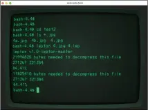  ??  ?? Lepton’s compressio­n works remarkably fast, resulting in significan­tly smaller files and a helpful figure that reveals the amount of saved data as a percentage.