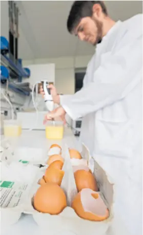  ??  ?? Analize jaja iz europskih trgovina provode se u laboratori­jima nekoliko zemalja