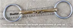  ??  ?? Use a ruler to measure the length and thickness of your bit