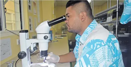  ?? Photo: Sheenam Chandra ?? Melvin Kumar, a staff of World Mosquito Program (WMP) examines mosquito larvae under the microscope at Mataika House, Tamavua in Suva on July 13, 2018.