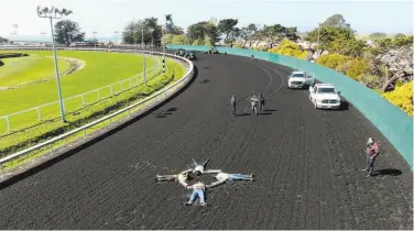  ?? Direct Action Everywhere ?? Animal rights protesters locked themselves together on the Golden Gate Fields horse racing track.