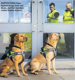  ??  ?? SNIFFER DOGS: Dogs Against Drugs, Axel and Blade, and their handlers visited Scatsta Airport