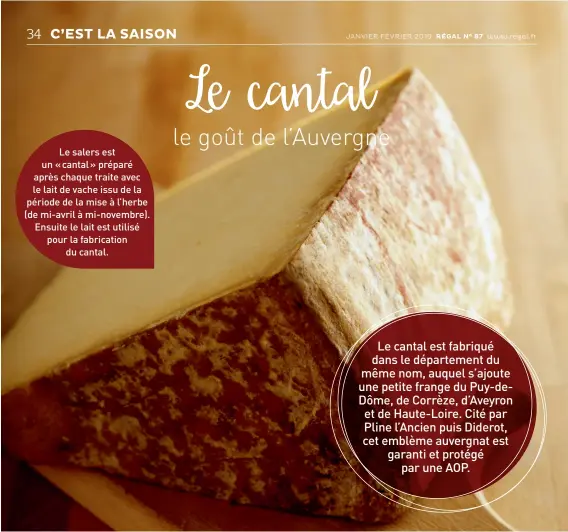  ??  ?? Le salers est un « cantal » préparé après chaque traite avec le lait de vache issu de la période de la mise à l’herbe (de mi-avril à mi-novembre). Ensuite le lait est utilisé pour la fabricatio­n du cantal. Le cantal est fabriqué dans le départemen­t du même nom, auquel s’ajoute une petite frange du Puy-deDôme, de Corrèze, d’Aveyron et de Haute-Loire. Cité par Pline l’Ancien puis Diderot, cet emblème auvergnat est garanti et protégé par une AOP.