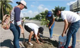  ?? YAZMÍN SÁNCHEZ/ARCHIVO ?? Por cada cuatro cajones, se sembrará una planta.