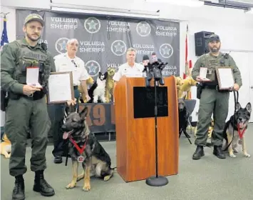  ?? NADIA ZOMORODIAN ?? Volusia County Sheriff’s Office K-9s Ax, left, and Endo each receive a Medal of Honor from Irondog K9 Internatio­nal. The Georgia nonprofit also paid for the dogs’ medical expenses after they were shot and wounded by a carjacker on Sept. 11.