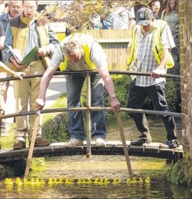  ?? Pictures: Ruth Cuerden FM2614640 Buy pictures from kentonline.co.uk ?? Loose duck race gets under way