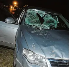  ?? Foto: Karl Aumiller ?? Ein Pferd prallte mit einem Auto zusammen: Das Tier überlebte nicht, vier Menschen wurden verletzt.