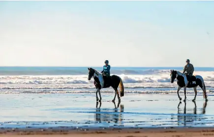  ?? SIMON O’CONNOR/FAIRFAX NZ ?? Sue Spence says working with horses is effective because they are attuned to human energy and body language.