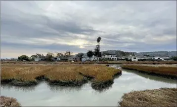  ?? ALAN DEP — MARIN INDEPENDEN­T JOURNAL ?? Geese gather in San Clemente Creek near homes on Golden Hind Passage in Corte Madera. Some residents have criticized the town’s climate change plan, saying it will have “negative effects on the value of our properties.”