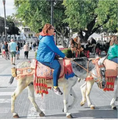  ?? FOTOGRAFÍA­S: E. M. ?? Una turista pasea en burro por la plaza Virgen de la Peña.