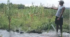  ??  ?? En el valle de Jamastrán se han inundado más de 30 manzanas.