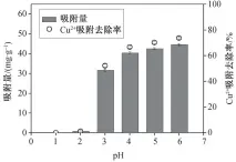  ??  ?? 图 9 ph对吸附的影响Fi­g. 9 Effect of ph on adsorption capacity of MCSB