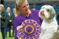  ?? AP PHOTO/MARY ALTAFFER ?? Handler Janice Hays poses for photos with Buddy Holly, a petit basset griffon Vendéen, after he won best in show during the 147th Westminste­r Kennel Club Dog show Tuesday at the USTA Billie Jean King National Tennis Center in New York.