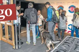  ?? ALF RIBEIRO ?? Autonomia. Cães-guia também têm vez em festival do Cinesesc