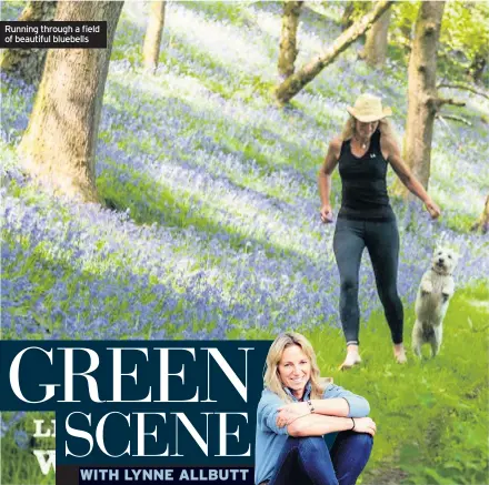  ??  ?? Running through a field of beautiful bluebells