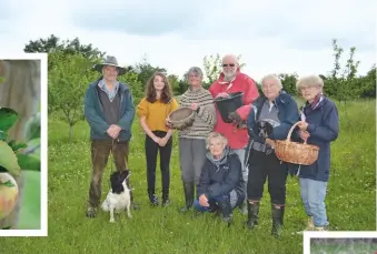  ??  ?? FROM FAR LEFT The orchard has 17 varieties of apple. Volunteers Alan Evans, Emily Bradley, Lesley Greene, Ian Plewis, Hazel Saunders, Ann Adler, Jilly Cobbe and Poppy the dog are ready for picking season. Lesley shows off the harvest