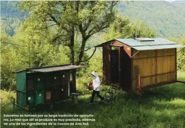  ??  ?? Eslovenia es famosa por su larga tradición de apicultore­s. La miel que allí se produce es muy preciada, además de uno de los ingredient­es de la cocina de Ana Roš.