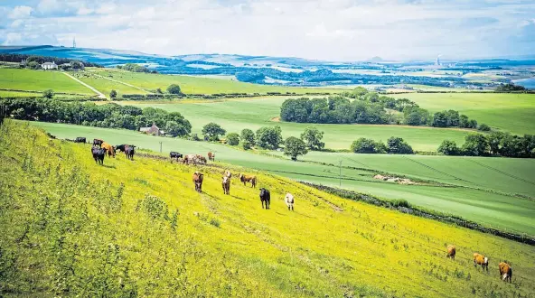  ??  ?? OPTIONS: The Farming for 1.5 Degrees inquiry has taken evidence from experts to develop a plan of how farms can help achieve climate targets.